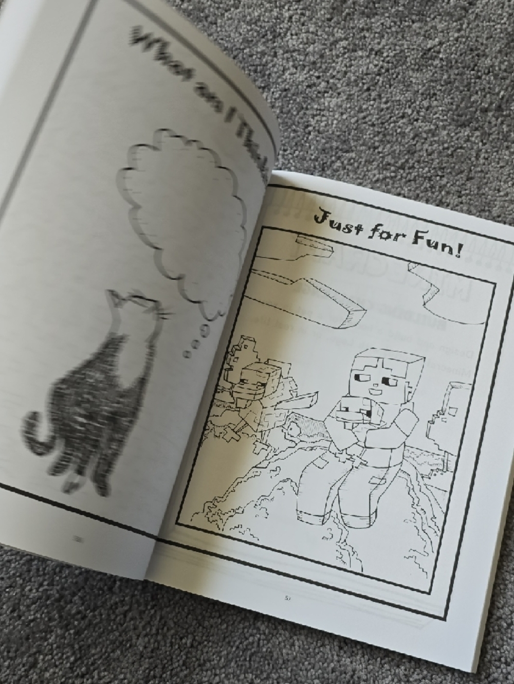 Minecraft 'All About Pets' Fun Schooling Journal - Orange & Gray - Picture 12 of 16